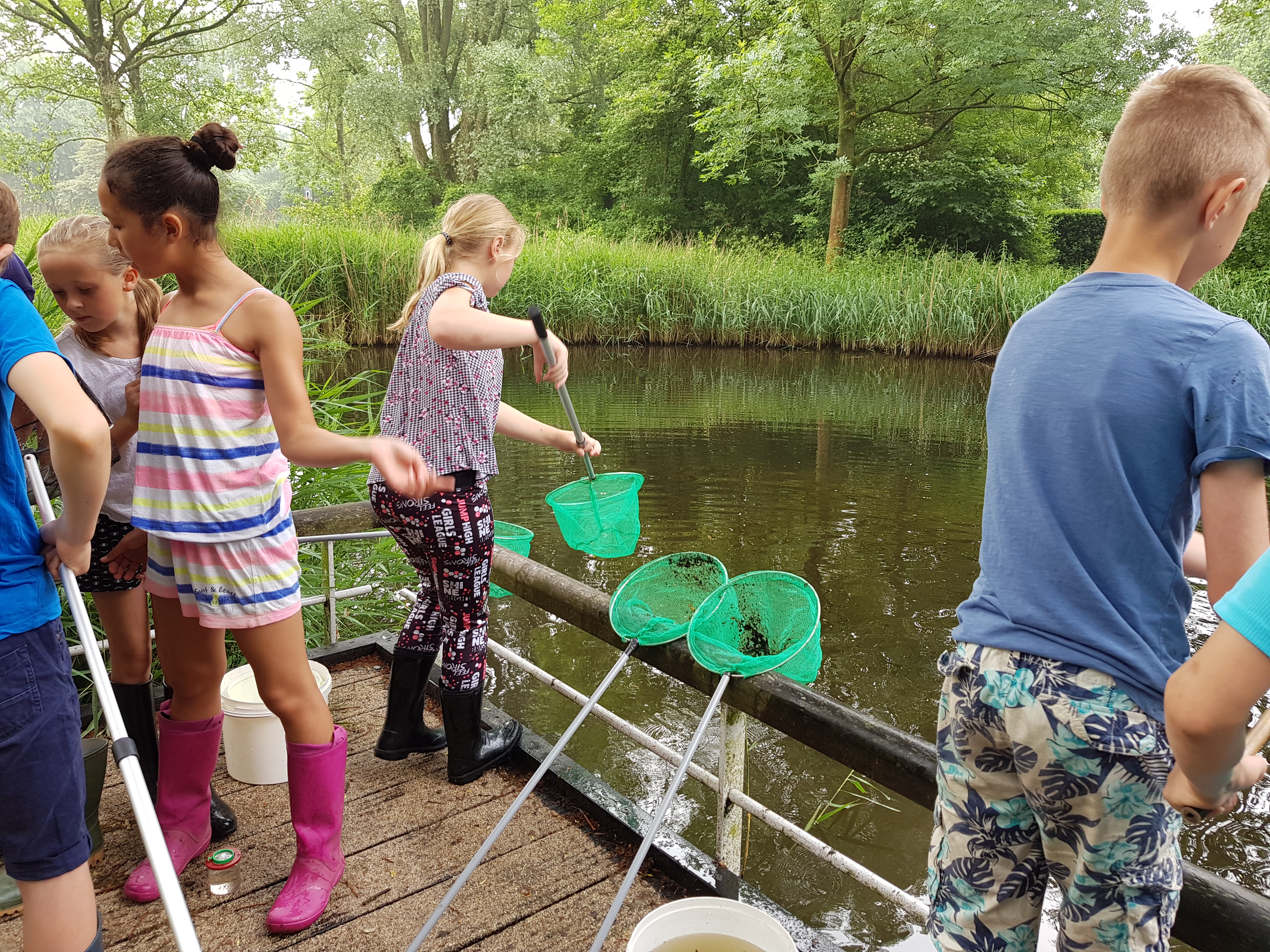 School groep onderzoekt sloot.