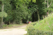 Kinderen onderzoeken het bos